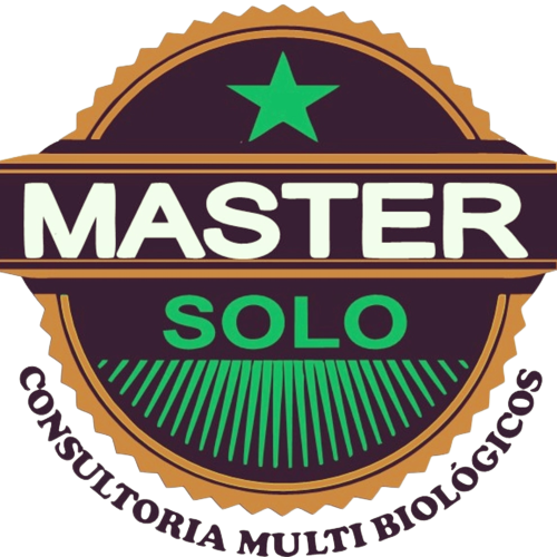 Master Solo – Potencializando produtividade​